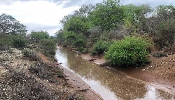 DUT Floods Control Plan